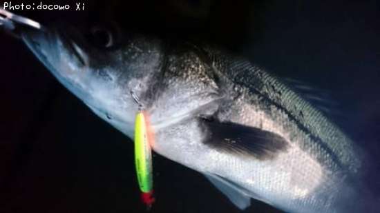 �����Х�