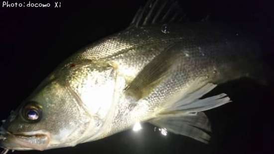 �����Х�