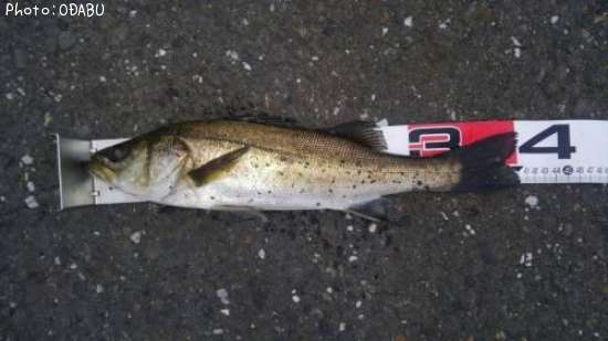 �����Х�