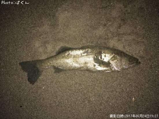 �����Х�