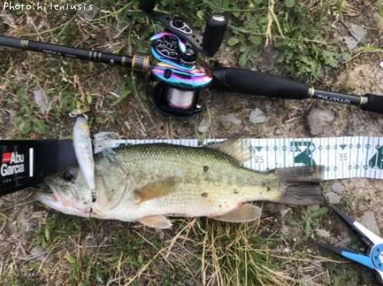 �֥�å��Х�