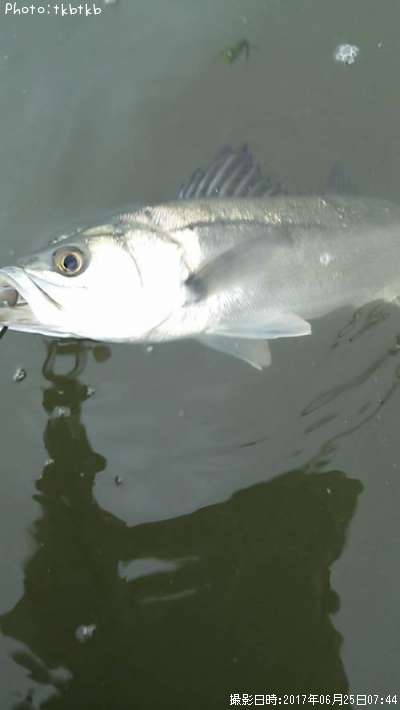 �����Х�