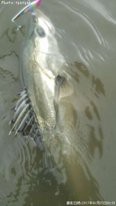 �����Х�