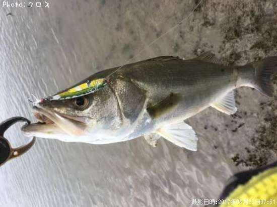 �����Х�