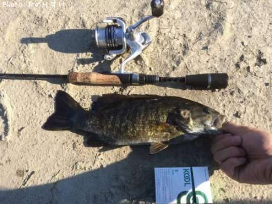 ���⡼��ޥ����Х�