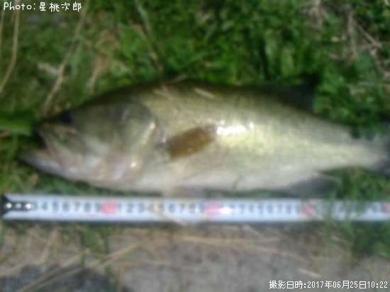 �֥�å��Х�