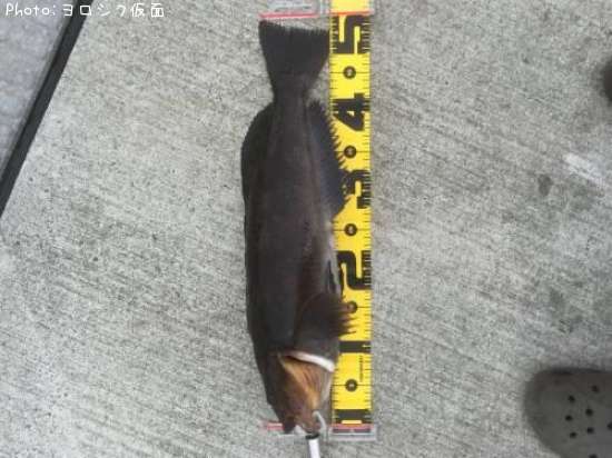 �����ʥ�