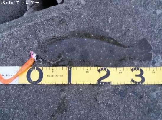 �ҥ��ʥ�����