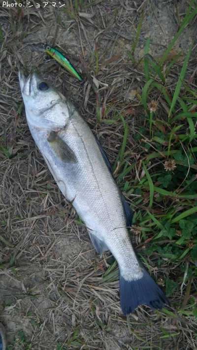 �����Х�