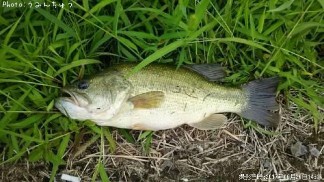 �֥�å��Х�