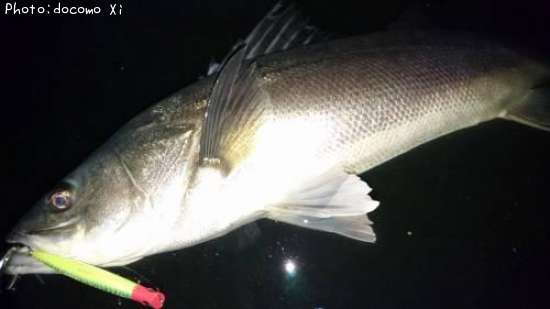 �����Х�