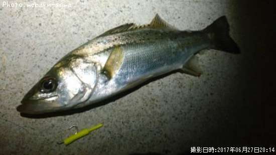 �����Х�