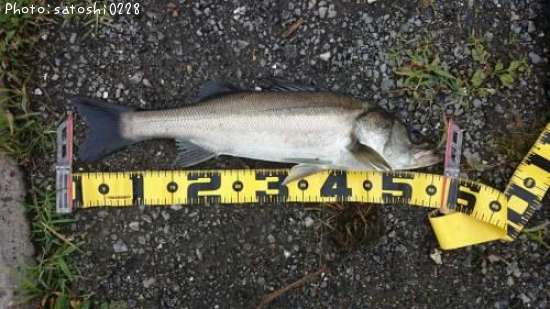 �����Х�