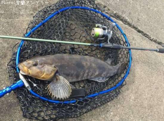 �����ʥ�