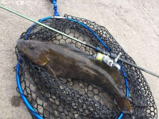 �����ʥ�