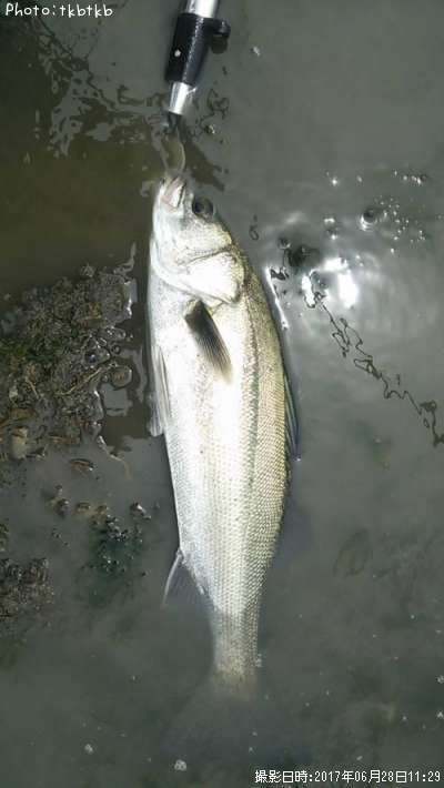 �����Х�