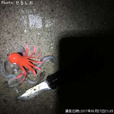 ���ޥ�����