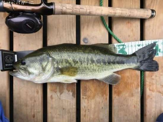 �֥�å��Х�