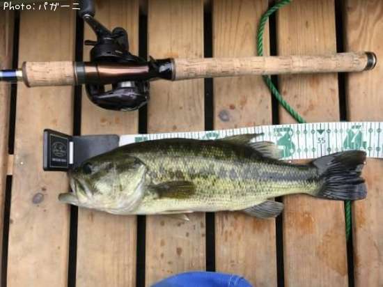 �֥�å��Х�