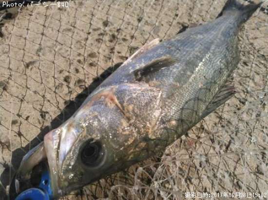 �����Х�