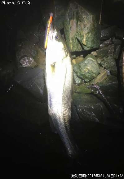 �����Х�