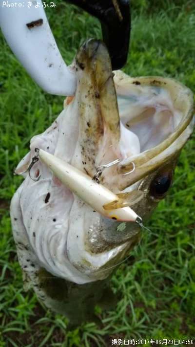 �����Х�