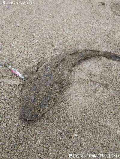 �ޥ���