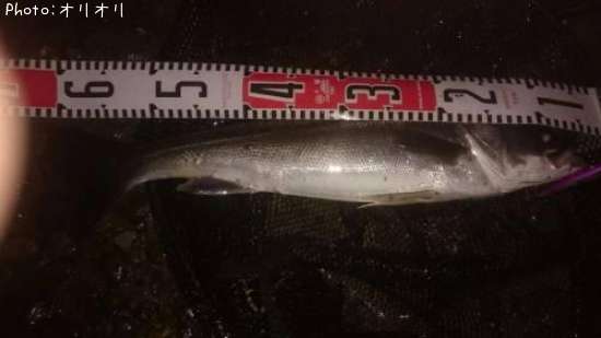 �����Х�