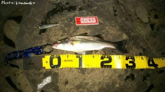 �����Х�