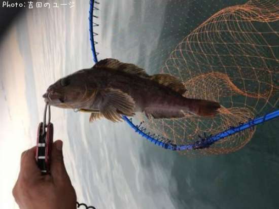 �����ʥ�