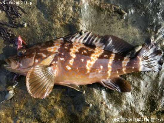 �����ϥ�