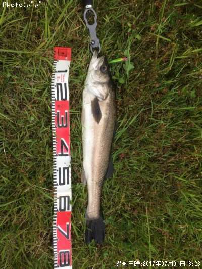 �����Х�