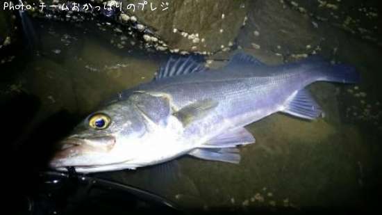 �����Х�