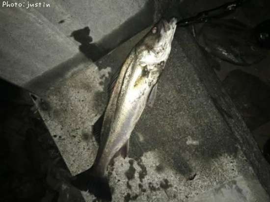 �����Х�