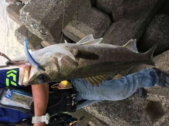 �����Х�