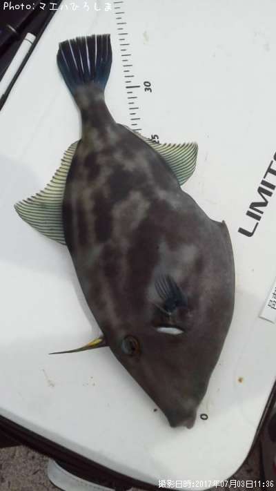 ���ޥ���ϥ�