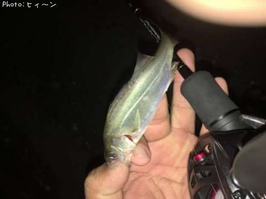 �����Х�