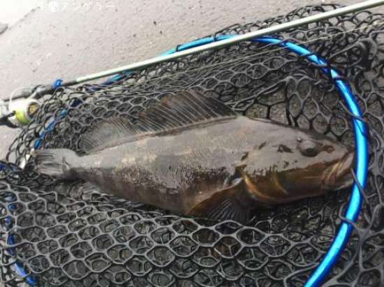 �����ʥ�