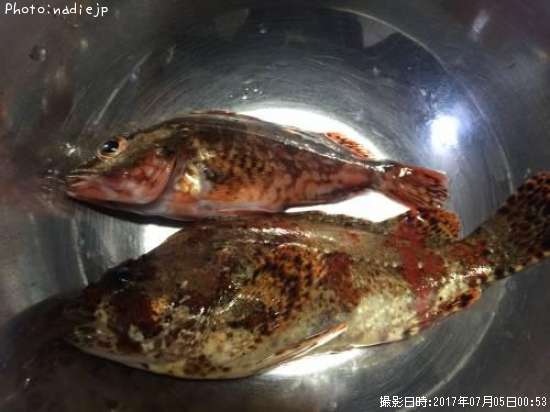 �������Х�ȥ�������