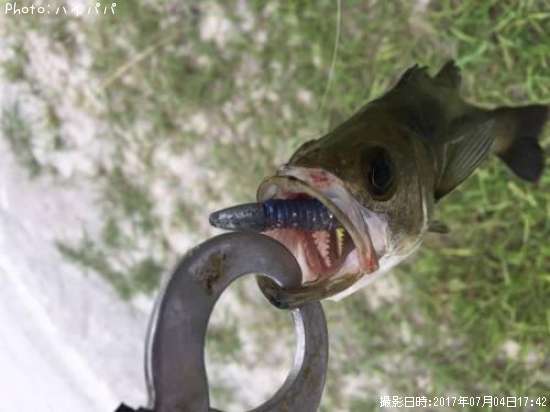 �����Х�