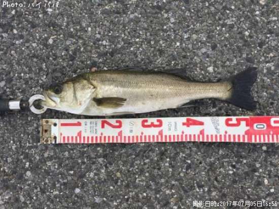 �����Х�