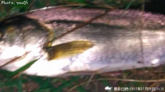 �����Х�