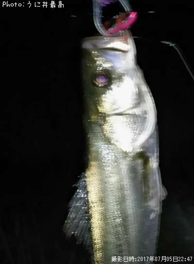 �����Х�