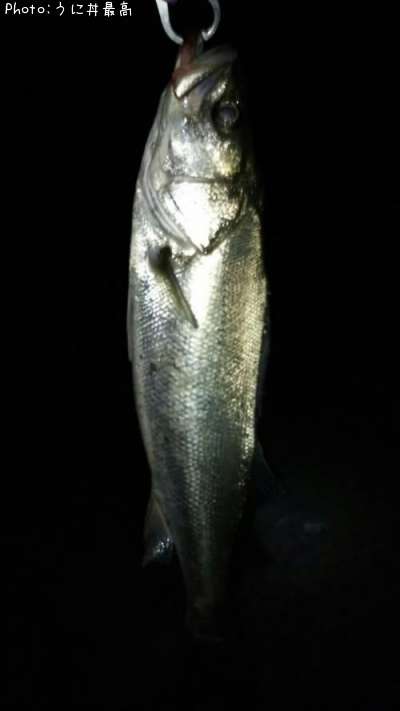 �����Х�