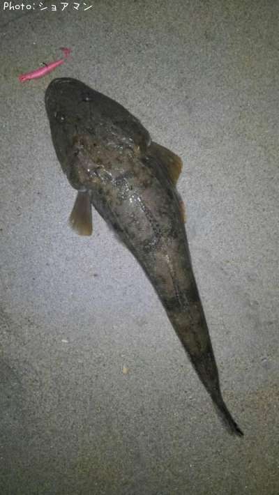 �ޥ�����������������