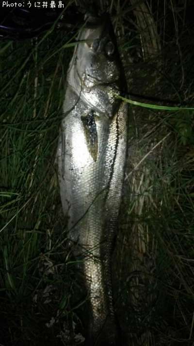 �����Х�