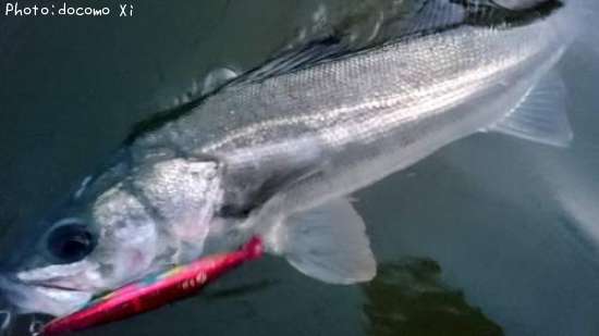 �����Х�