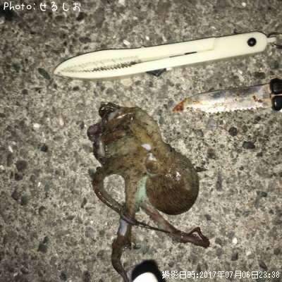 �ޥ���