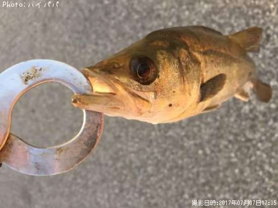 �����Х�