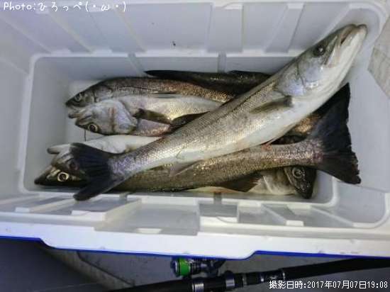 �����Х�